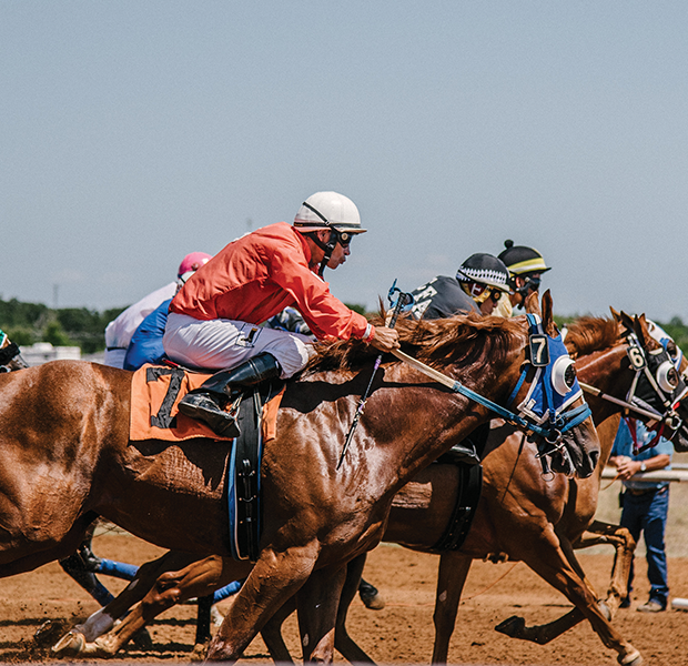 Equestrian & Outdoors